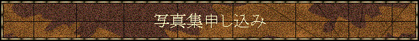 ʐ^W\