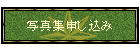 ʐ^W\