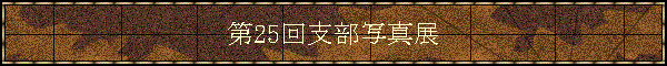 25xʐ^W