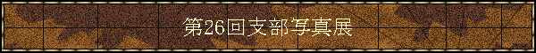 26xʐ^W