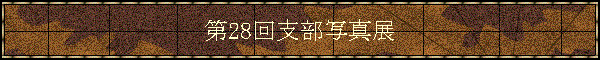 28xʐ^W