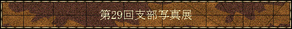 29xʐ^W