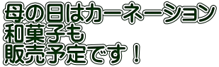 母の日はカーネーション 和菓子も 販売予定です！