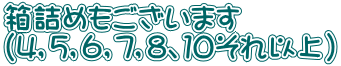 箱詰めもございます （4，5，6，7，8、１０それ以上）