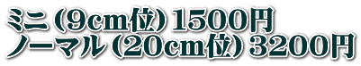 ミニ（９ｃｍ位）１５００円 ノーマル（２０ｃｍ位）３２００円