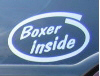 Boxer inside