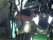 kgivC}jӂ̗lq