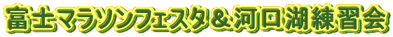 �x�m�}���\���t�F�X�^���͌��Η��K��

