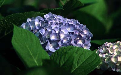 98052404.JPG