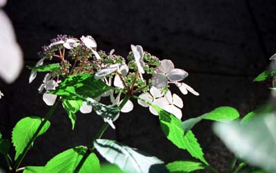 98060401.JPG