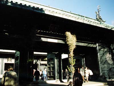 99010203.JPG