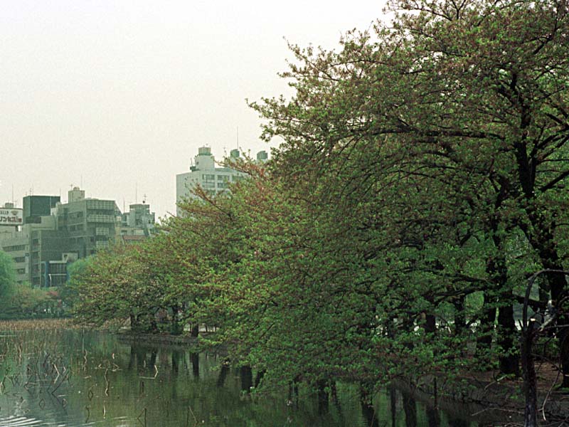 99041805.JPG