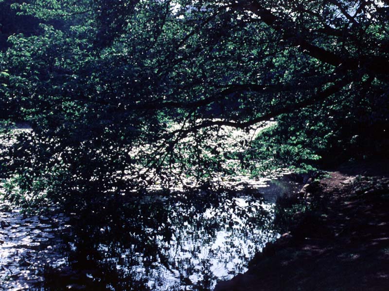 99050803.JPG