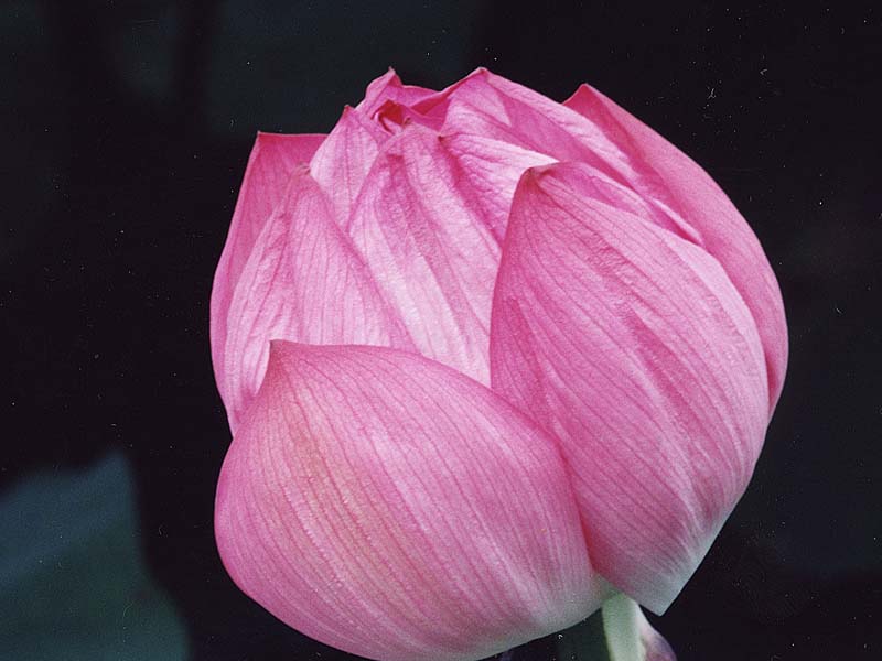 99072006.JPG