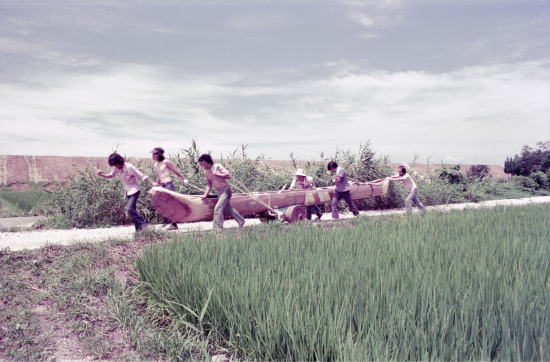 http://www.ne.jp/asahi/ike/mizu/p/cnoe/horiuti-c1.jpg