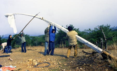 http://www.ne.jp/asahi/ike/mizu/p/flag/f-161.jpg