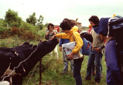 http://www.ne.jp/asahi/ike/mizu/p/kaze/cow1.jpg