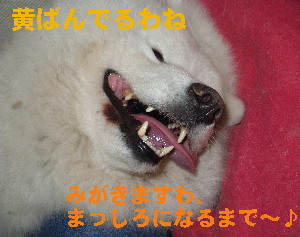 ���̊炱��[��