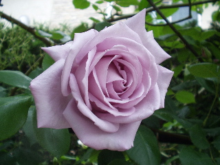 ������������F���K�N