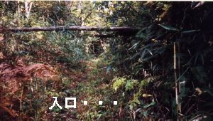 izumo08E