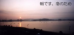 izumo11.