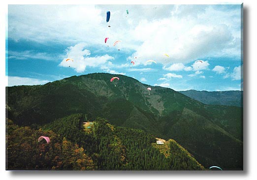 ���������Ŕ�ԃp���O���C�_�[�̂̎ʐ^�ł�