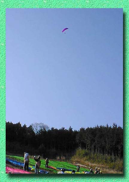 �������͑���