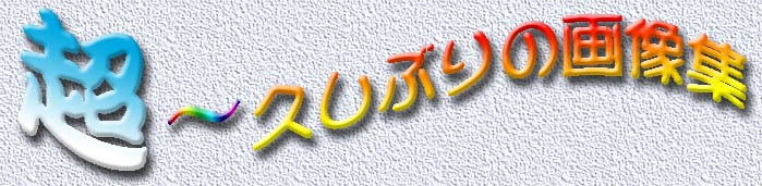 �v���Ԃ�Ȃ̂ŁA����Ȃ�