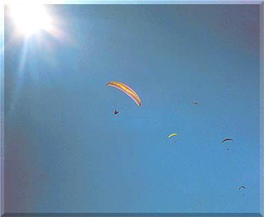 �t���̎ʐ^�B�C���ɋ�J���܂����B