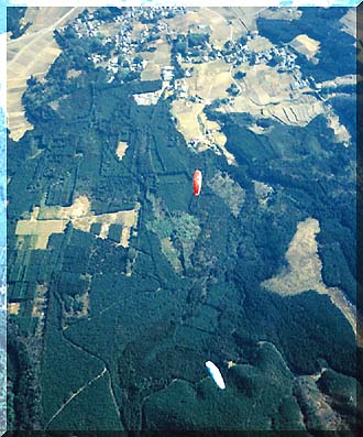 ���Ԃ������낷�ʐ^�B�C�������ł��B