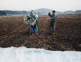 $B%;%C%F%#%s%0Cf$G$9!#(J