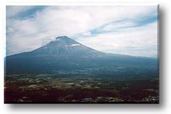 ���Α��̕x�m�R�̎ʐ^