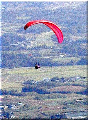 ���̌��݂̈��@�V���o�ł��B