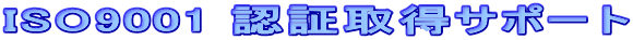 ISO9001 F؎擾T|[g
