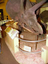 991011fm010.jpg
