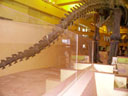 991011fm012.jpg