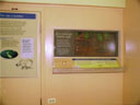 991011fm015.jpg