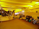 991011fm017.jpg