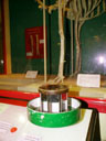 991011fm020.jpg