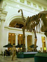 991011fm029.jpg
