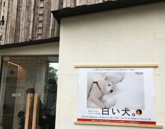 とびち2