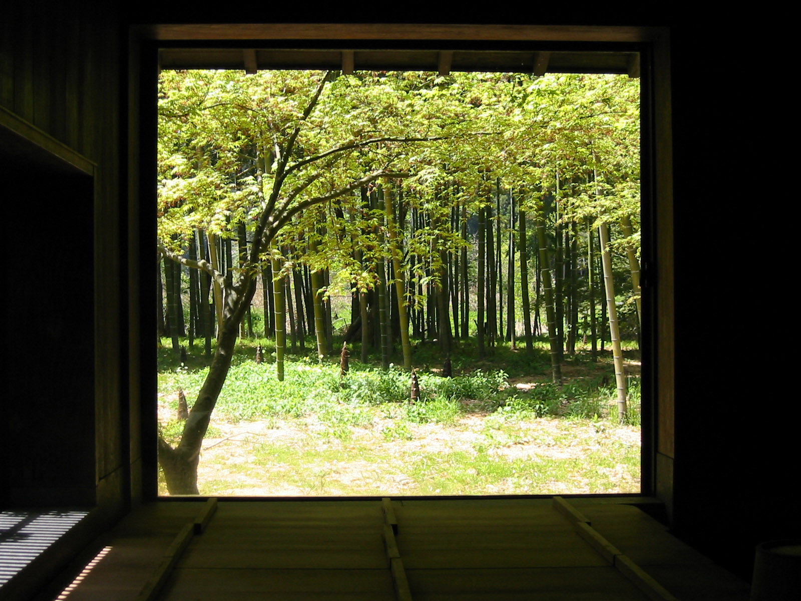 Image title