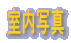 �����ʐ^