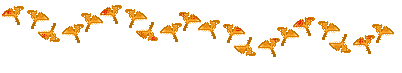 傤̃C