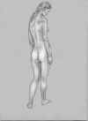 clo00072704.jpg (29577 oCg)