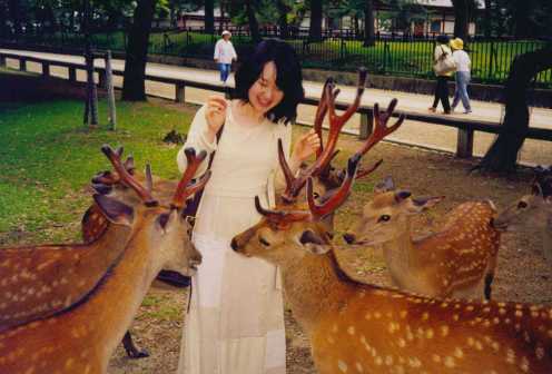 Nara Park