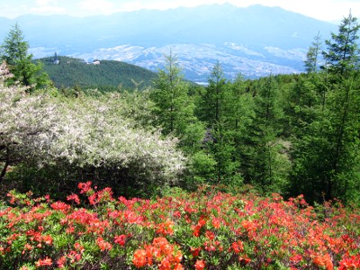 入笠山