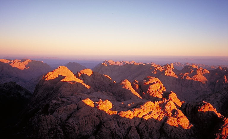 ViCR Mt.Sinai