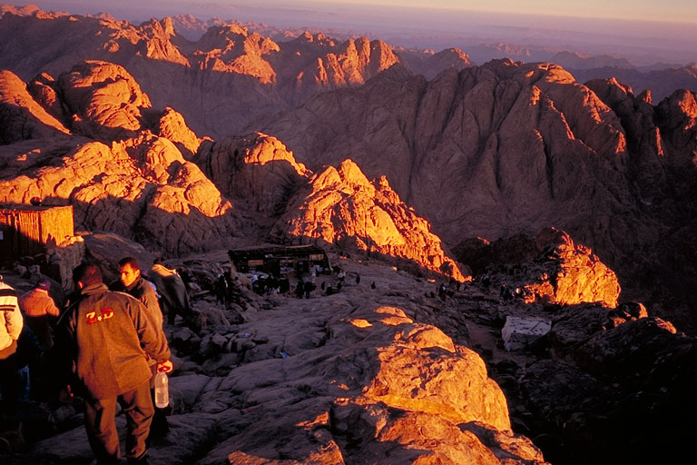 ViCR Mt.Sinai