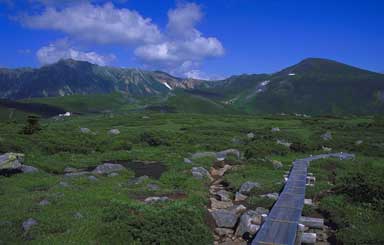 雲ノ平散策